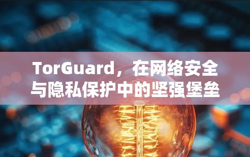 TorGuard，在网络安全与隐私保护中的坚强堡垒