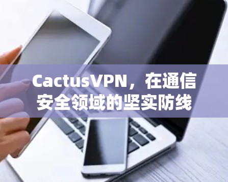 CactusVPN,在通信安全领域的坚实防线 CactusVPN,在通信安全领域的坚实防线