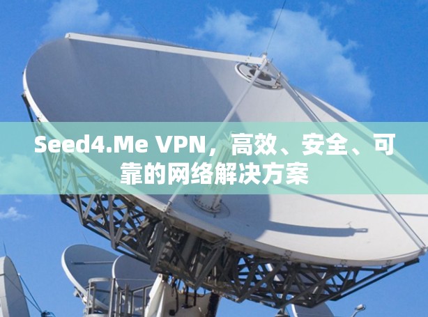 Seed4.Me VPN,高效、安全、可靠的网络解决方案