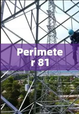 Perimeter 81