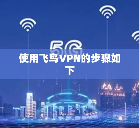 使用飞鸟VPN的步骤如下 使用飞鸟VPN的步骤如下
