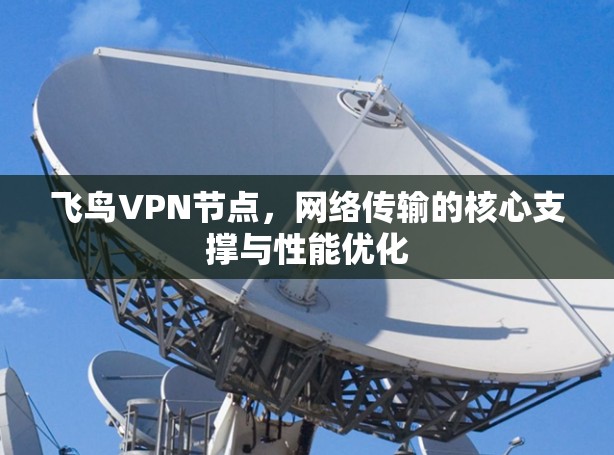 飞鸟VPN节点,网络传输的核心支撑与性能优化