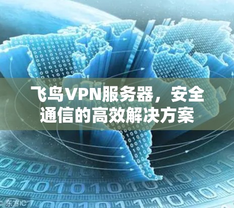 飞鸟VPN服务器，安全通信的高效解决方案