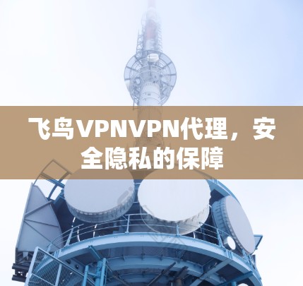 飞鸟VPNVPN代理,安全隐私的保障