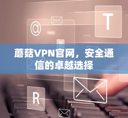 蘑菇VPN官网,安全通信的卓越选择