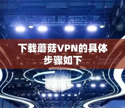 下载蘑菇VPN的具体步骤如下