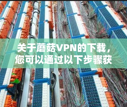 关于蘑菇VPN的下载,您可以通过以下步骤获取官方版本 关于蘑菇VPN的下载,您可以通过以下步骤获取官方版本