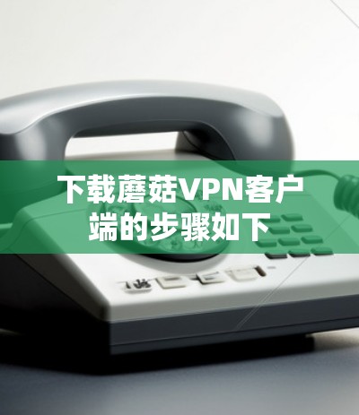 下载蘑菇VPN客户端的步骤如下 下载蘑菇VPN客户端的步骤如下