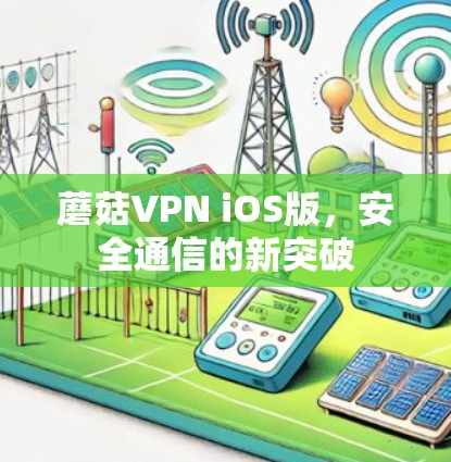 蘑菇VPN iOS版,安全通信的新突破