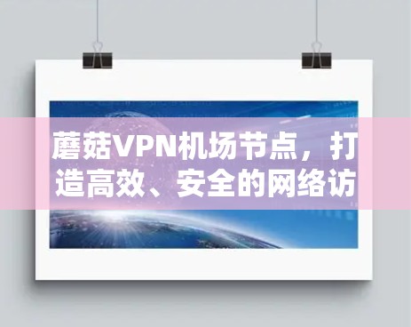 蘑菇VPN机场节点,打造高效、安全的网络访问解决方案