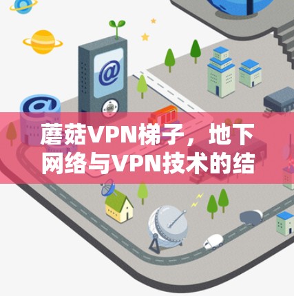 蘑菇VPN梯子,地下网络与VPN技术的结合之路