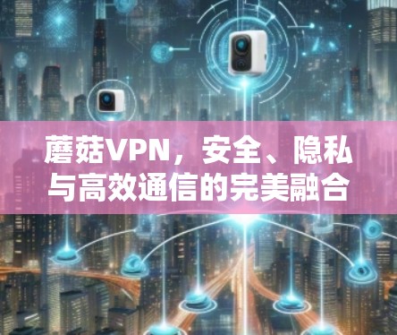 蘑菇VPN,安全、隐私与高效通信的完美融合 蘑菇VPN,安全、隐私与高效通信的完美融合