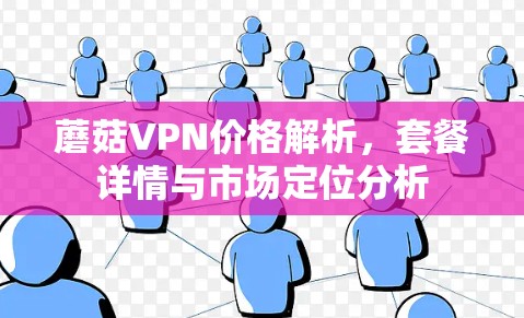蘑菇VPN价格解析,套餐详情与市场定位分析