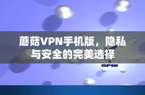 蘑菇VPN手机版,隐私与安全的完美选择