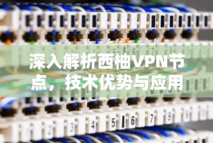 深入解析西柚VPN节点,技术优势与应用场景