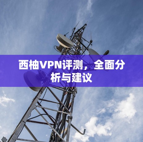 西柚VPN评测，全面分析与建议