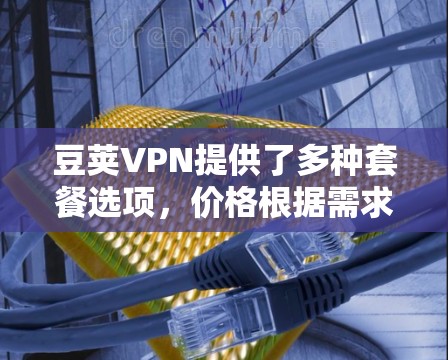 豆荚VPN提供了多种套餐选项，价格根据需求和使用量有所不同。以下是常见套餐信息