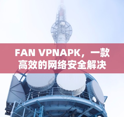FAN VPNAPK，一款高效的网络安全解决方案