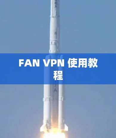 FAN VPN 使用教程