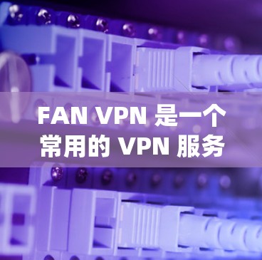 FAN VPN 是一个常用的 VPN 服务，主要用于绕过地域限制访问网站。虽然 FAN VPN 最初是为手机用户设计的，但也可以在电脑上使用。以下是使用 FAN VPN 在电脑上的基本步骤