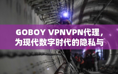 GOBOY VPNVPN代理,为现代数字时代的隐私与安全提供坚实防护 GOBOY VPNVPN代理,为现代数字时代的隐私与安全提供坚实防护