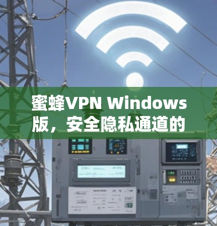 蜜蜂VPN Windows版，安全隐私通道的最佳选择
