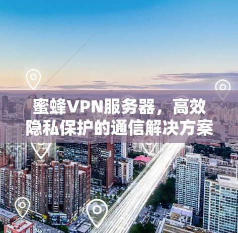 蜜蜂VPN服务器，高效隐私保护的通信解决方案