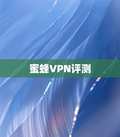 蜜蜂VPN评测