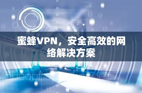 蜜蜂VPN，安全高效的网络解决方案