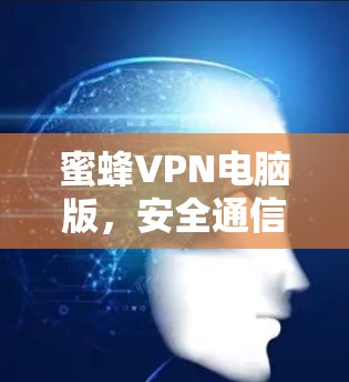 蜜蜂VPN电脑版，安全通信的新选择