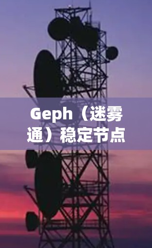 Geph（迷雾通）稳定节点是维护网络核心功能的重要组成部分，确保数据传输的高效和可靠。以下是对Geph稳定节点的详细分析
