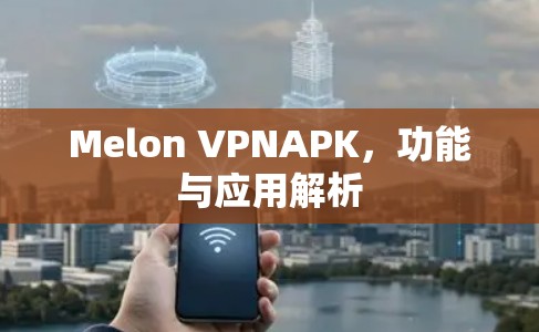 Melon VPNAPK，功能与应用解析
