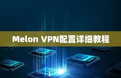 Melon VPN配置详细教程