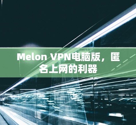 Melon VPN电脑版，匿名上网的利器