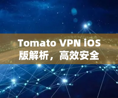 Tomato VPN iOS版解析,高效安全的移动互联网解决方案
