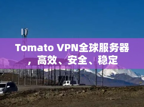 Tomato VPN全球服务器，高效、安全、稳定