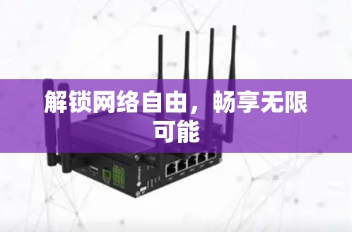 解锁网络自由,畅享无限可能