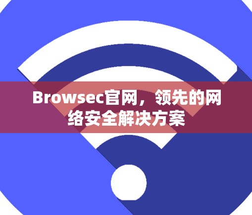 Browsec官网,领先的网络安全解决方案
