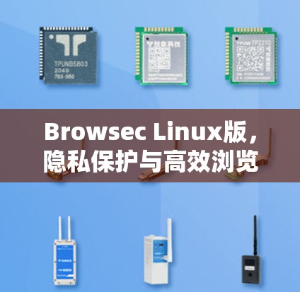 Browsec Linux版，隐私保护与高效浏览的双重保障