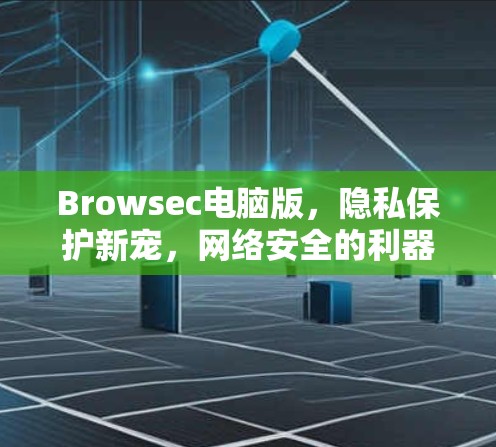 Browsec电脑版，隐私保护新宠，网络安全的利器