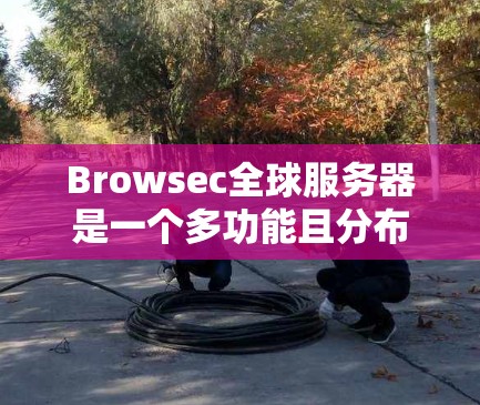 Browsec全球服务器是一个多功能且分布广泛的网络解决方案，旨在为用户提供高度安全的隐私保护。以下是对Browsec全球服务器的详细分析和总结