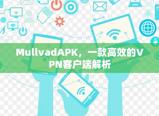 MullvadAPK,一款高效的VPN客户端解析
