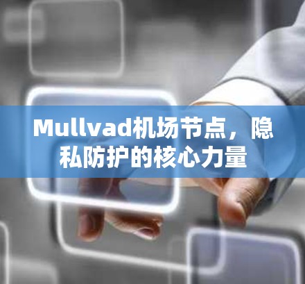 Mullvad机场节点,隐私防护的核心力量 Mullvad机场节点,隐私防护的核心力量