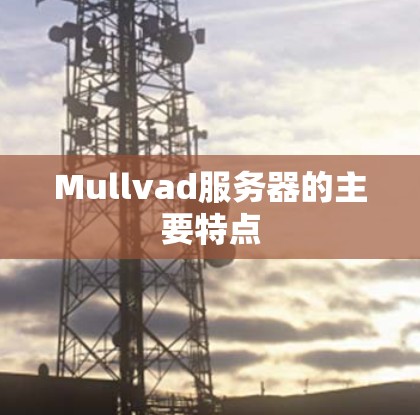 Mullvad服务器的主要特点