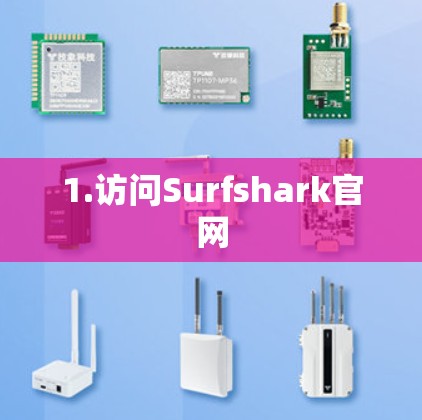 1.访问Surfshark官网