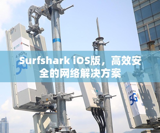 Surfshark iOS版,高效安全的网络解决方案