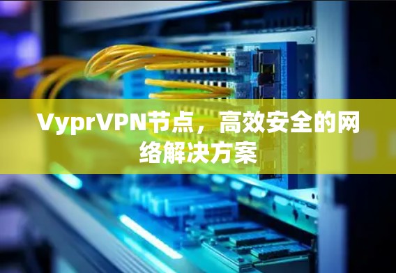 VyprVPN节点，高效安全的网络解决方案