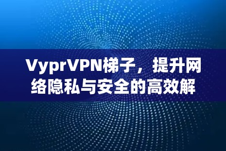 VyprVPN梯子，提升网络隐私与安全的高效解决方案
