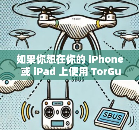 如果你想在你的 iPhone 或 iPad 上使用 TorGuard,通常需要以下步骤