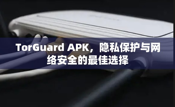 TorGuard APK，隐私保护与网络安全的最佳选择